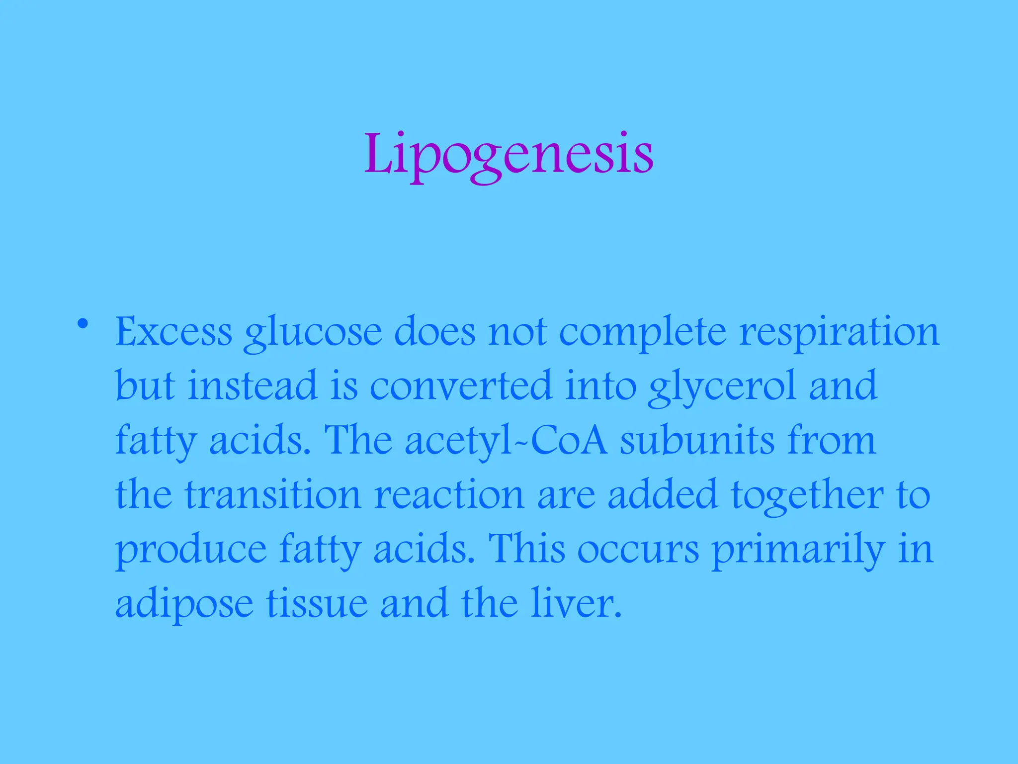 Lipogenesis
• Excess glucose does not complete respiration
but instead is converted into glycerol and
fatty acids. The acetyl-CoA subunits from
the transition reaction are added together to
produce fatty acids. This occurs primarily in
adipose tissue and the liver.
 