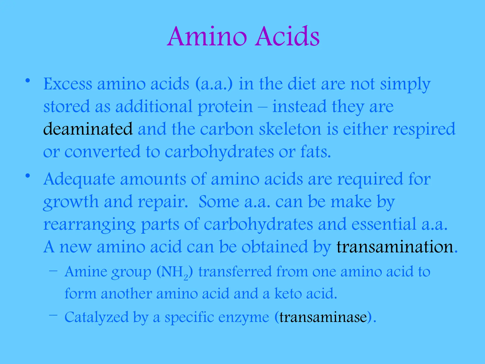 Amino Acids
• Excess amino acids (a.a.) in the diet are not simply
stored as additional protein – instead they are
deaminated and the carbon skeleton is either respired
or converted to carbohydrates or fats.
• Adequate amounts of amino acids are required for
growth and repair. Some a.a. can be make by
rearranging parts of carbohydrates and essential a.a.
A new amino acid can be obtained by transamination.
– Amine group (NH2) transferred from one amino acid to
form another amino acid and a keto acid.
– Catalyzed by a specific enzyme (transaminase).
 