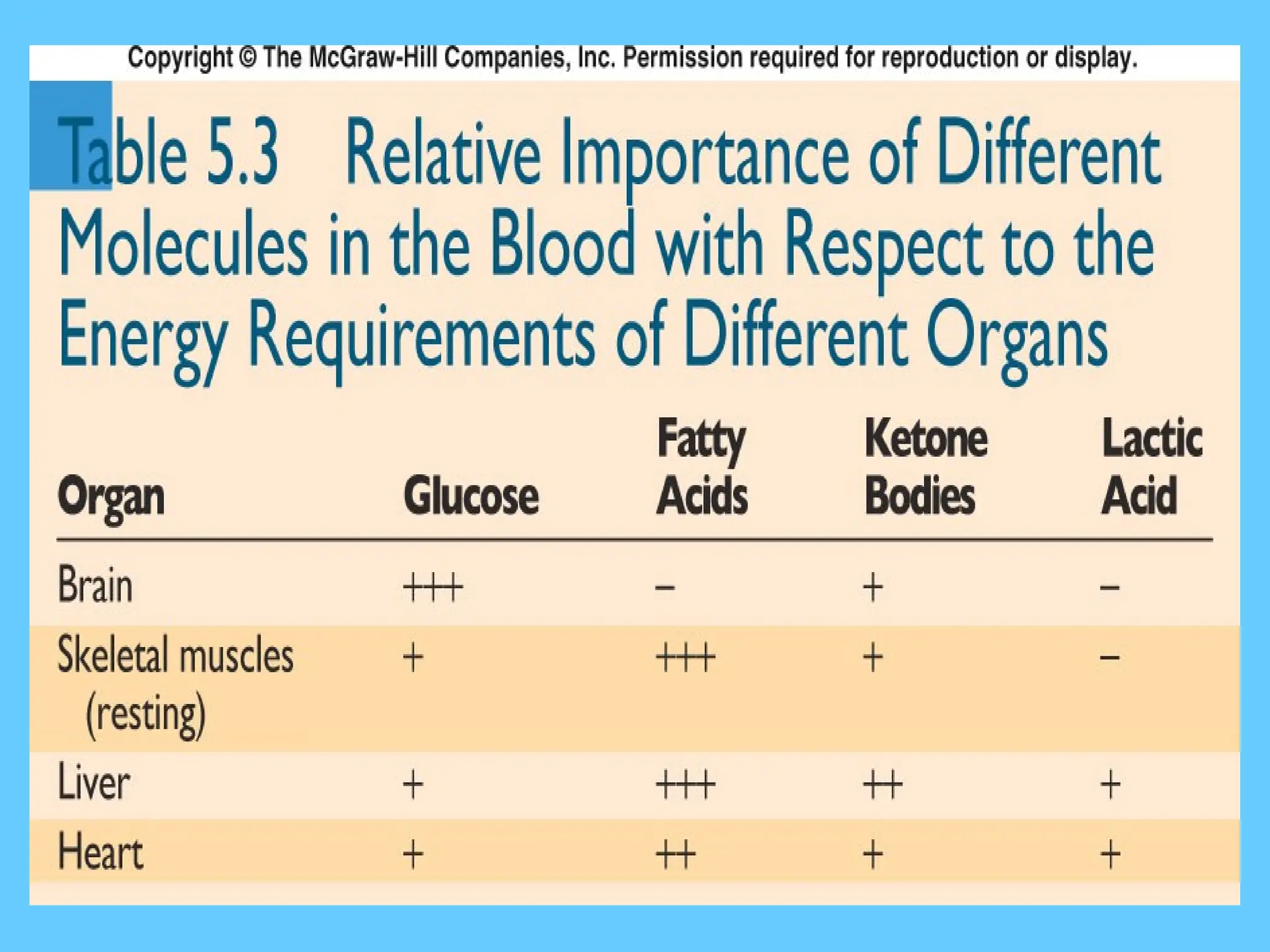Chapter_5_-_Cell_Respiration_and_Metabolism.ppt