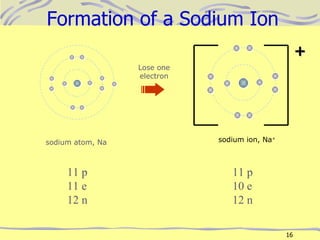 Formation of a Sodium Ion 11 p 11 e 12 n sodium atom, Na Lose one electron sodium ion, Na + + 11 p 10 e 12 n 