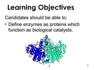 Learning Objectives Candidates should be able to: Define enzymes as proteins which function as biological catalysts. 