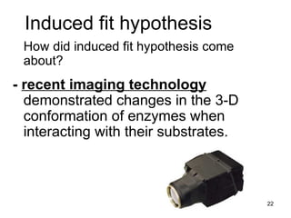 Induced fit hypothesis How did induced fit hypothesis come about? -  recent imaging technology  demonstrated changes in the 3-D conformation of enzymes when interacting with their substrates. 