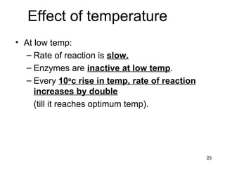 Effect of temperature At low temp: Rate of reaction is  slow. Enzymes are  inactive at low temp . Every  10 o c rise in temp, rate of reaction increases by double   (till it reaches optimum temp). 