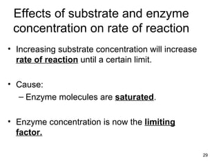 Effects of substrate and enzyme concentration on rate of reaction Increasing substrate concentration will increase  rate of reaction  until a certain limit. Cause: Enzyme molecules are  saturated . Enzyme concentration is now the  limiting factor. 