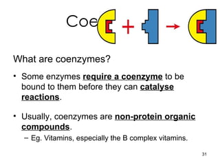 Coenzymes What are coenzymes? Some enzymes  require a coenzyme  to be bound to them before they can  catalyse reactions . Usually, coenzymes are  non-protein organic compounds . Eg. Vitamins, especially the B complex vitamins. 