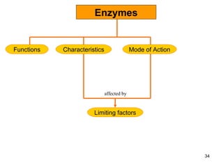 Enzymes Characteristics Functions Mode of Action Limiting factors affected by 