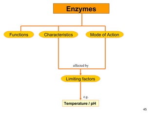 Enzymes Characteristics Functions Mode of Action Limiting factors Temperature / pH e.g. affected by 