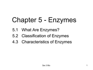 Chapter 5 - Enzymes ,[object Object],[object Object],[object Object]