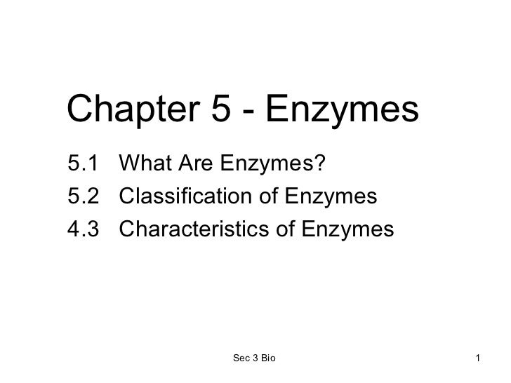 characteristics of enzymes