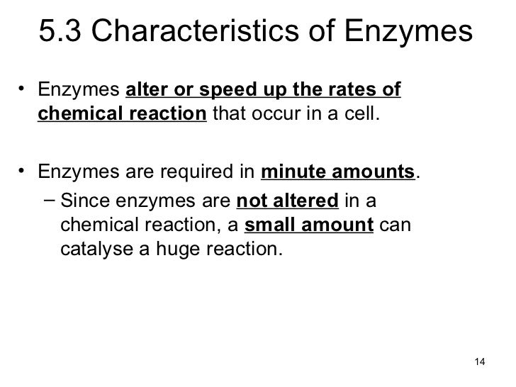 characteristics of enzymes