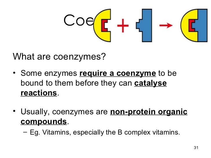 Chapter 5 enzymes