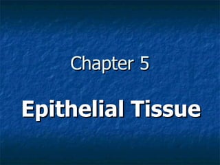 Chapter 5 Epithelial Tissue 