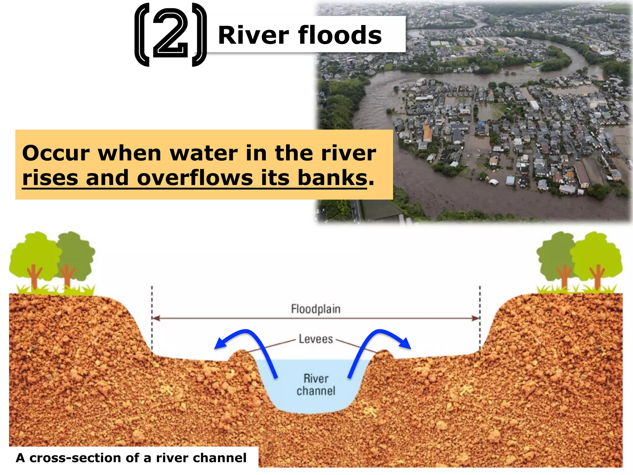 Occur when water in the river
rises and overflows its banks.
A cross-section of a river channel
River floods
(2)
 