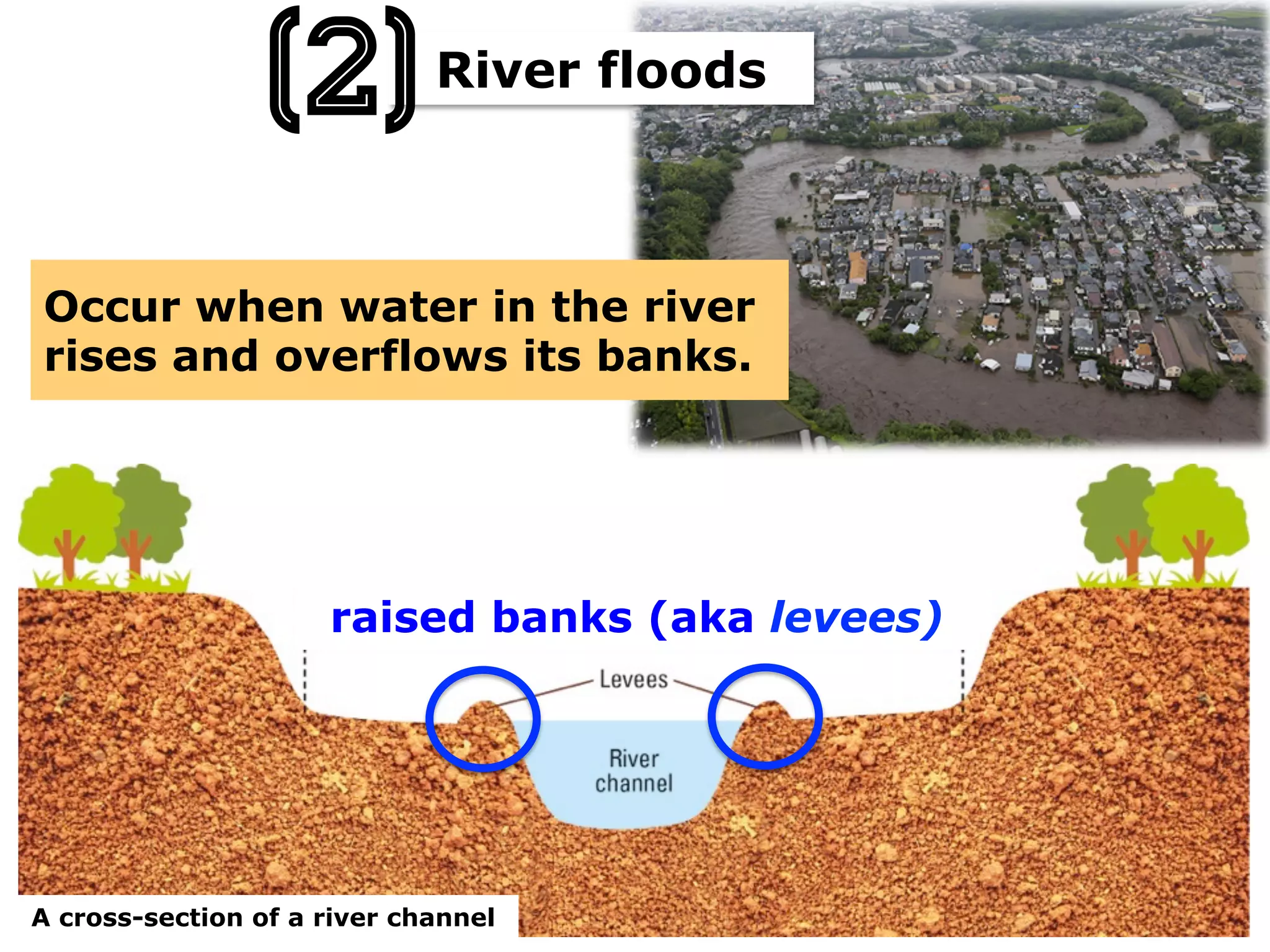 Occur when water in the river
rises and overflows its banks.
A cross-section of a river channel
raised banks (aka levees)
River floods
(2)
 