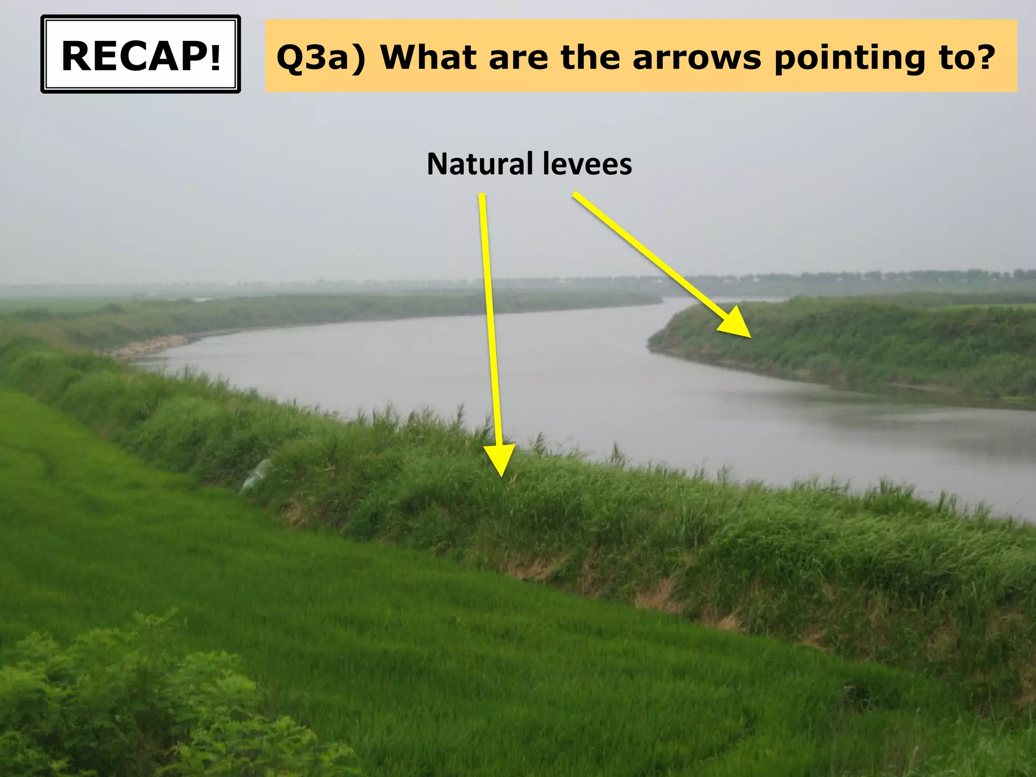 Q3a) What are the arrows pointing to?RECAP!
Natural	
  levees	
  
 