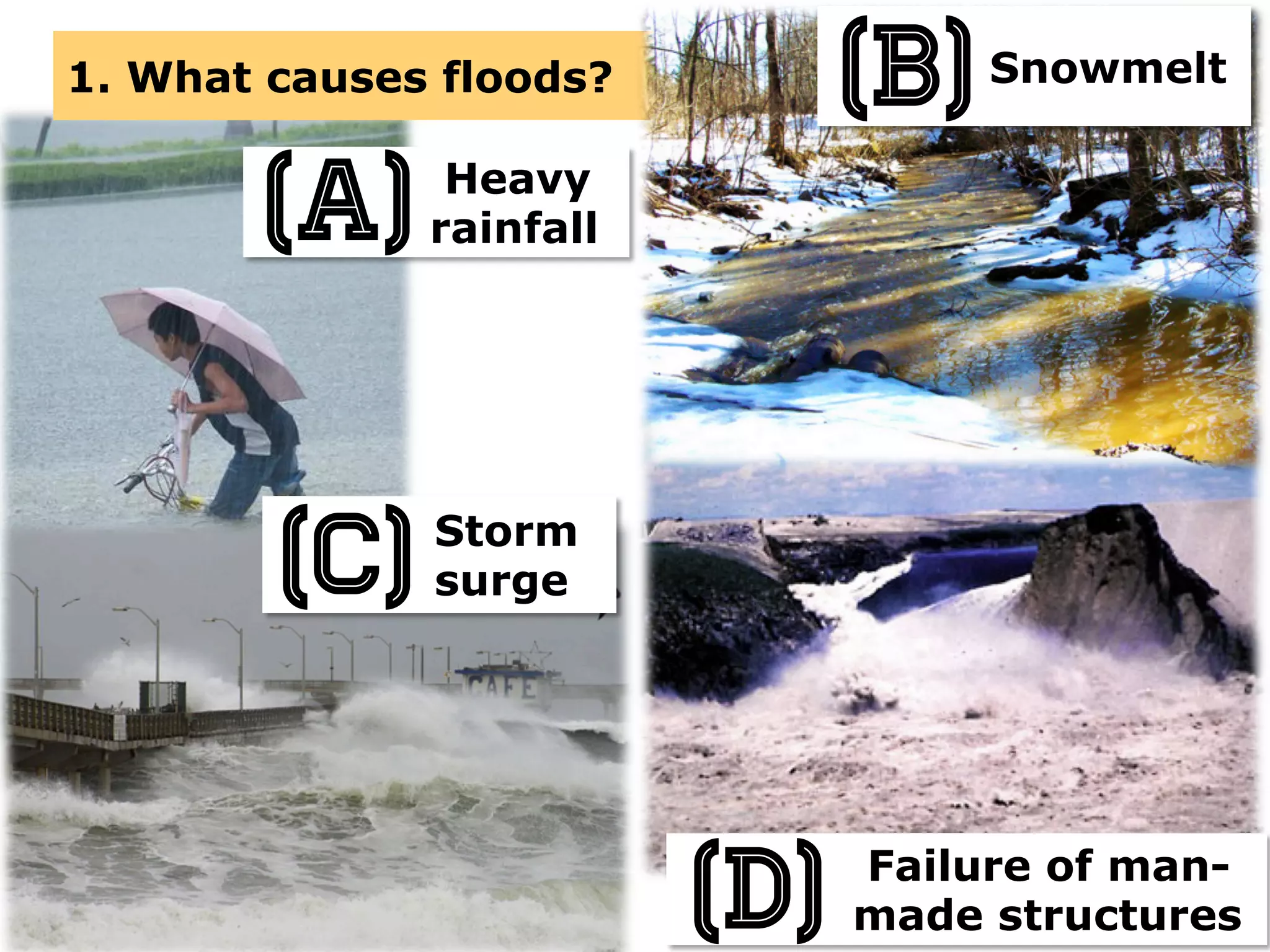 Failure of man-
made structures
Heavy
rainfall
Storm
surge
1. What causes floods? Snowmelt
(a)
(B)
(C)
(D)
 