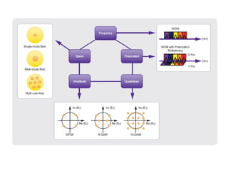Advanced Optical Multiplexing Techniques for High Capacity Networks | PPT