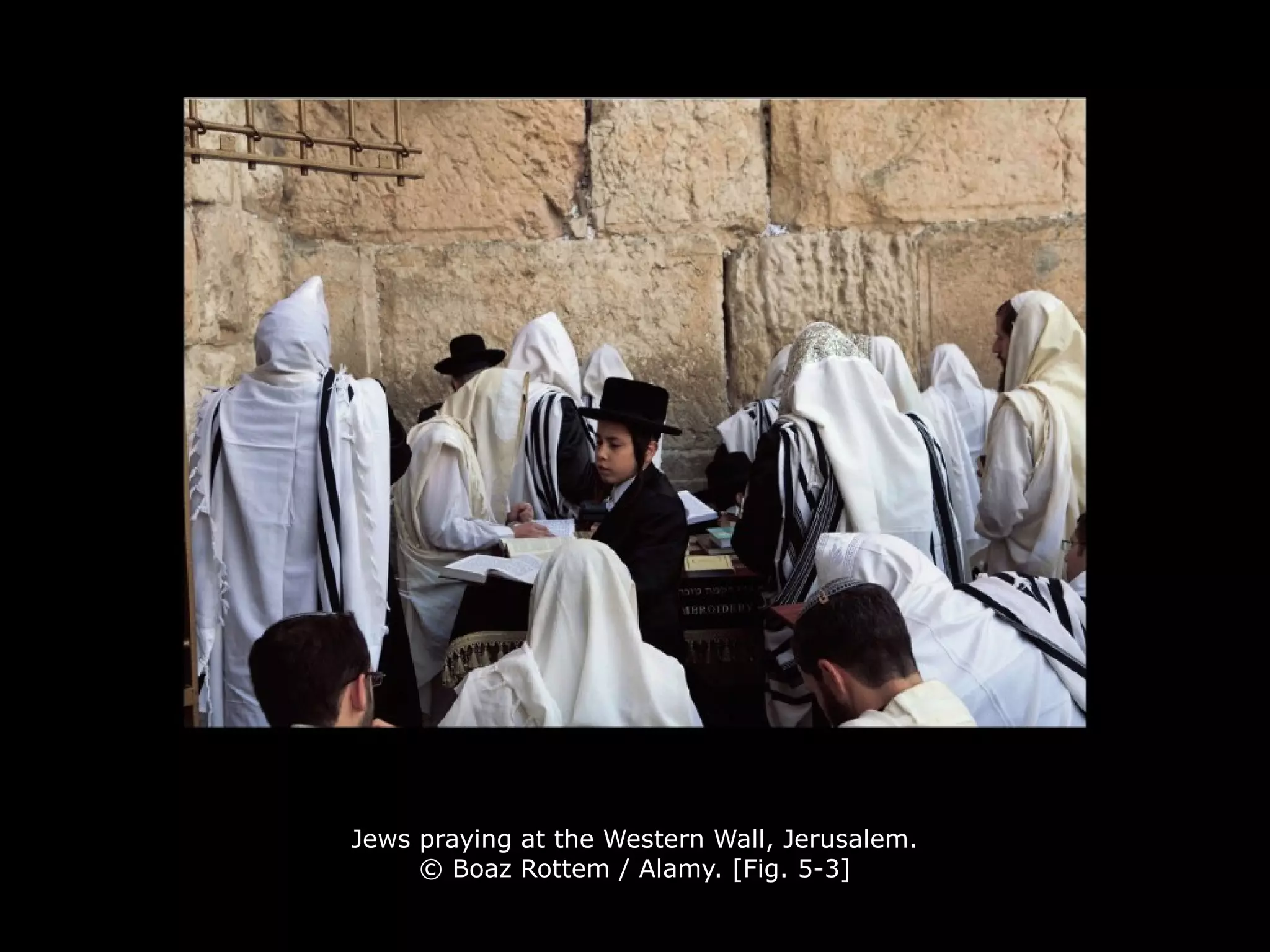 Jews praying at the Western Wall, Jerusalem.
© Boaz Rottem / Alamy. [Fig. 5-3]
 