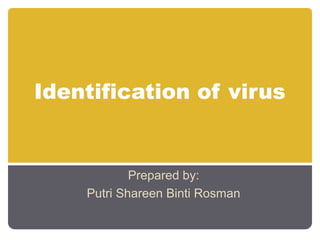 Identification of virus


            Prepared by:
    Putri Shareen Binti Rosman
 
