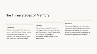 Chapter 5 - Memory nature stages process theories | PPTX