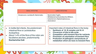SMALL INTESTINE LARGE INTESTINE
Streptococci, Lactobacilli, Bacteriodes. Bacteriodes Fragilis,
Bifidobacterium/Lactubaccilus Bifidum,
Eubacterium, Peptostreptococcus,
Clostrodium
● In bottle-fed infants, the predominant
intestinal flora is Lactobacillus
Acidophilus
● About 1-4% of the flora of the colon are
facultative aerobes, predominantly
Escherichia Coli
Important roles of intestinal flora in the body:
1. Synthesis of Vt. B complex and Vt. K
2. Conversion of bile to bile acids
3. Competition with transient flora for nutrients
4. Prevention of colonization of transient flora
5. Production of pathogenic end-products of
metabolism which are toxic to transient flora
 