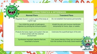 CHARACTERISTICS & DIFFERENCES
Normal Flora Transient Flora
Regularly found in a given area of the body at
a given age
Do not establish themselves permanently
Can inhibit the growth of pathogenic
organism by priming the immune system
Inhabit the skin and mucous membrane
temporarily for hours, days, or weeks
Protects the body organs and system that are
in direct contact with the external
environment
Colonizes the superficial layer of the skin
Synthesize important vitamins that are
essential to humans
Can cause infection if they are not remove
from the surface of the body (hand-washing)
 