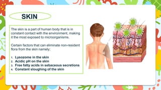The skin is a part of human body that is in
constant contact with the environment, making
it the most exposed to microorganisms.
Certain factors that can eliminate non-resident
flora from the skin namely;
1. Lysozome in the skin
2. Acidic pH on the skin
3. Free fatty acids in sebaceous secretions
4. Constant sloughing of the skin
SKIN
 