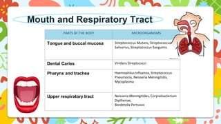 Mouth and Respiratory Tract
PARTS OF THE BODY MICROORGANISMS
Tongue and buccal mucosa Streptococcus Mutans, Streptococcus
Salivarius, Streptococcus Sanguinis.
Dental Caries Viridans Streptococci
Pharynx and trachea Haemophilus Influenza, Streptococcus
Pneumonia, Neisseria Meningitidis,
Mycoplasma
Upper respiratory tract Neisseria Meningitides, Corynebacterium
Diptheriae,
Bordetella Pertussis
 