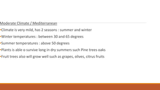 Moderate Climate / Mediterranean
•Climate is very mild, has 2 seasons : summer and winter
•Winter temperatures : between 30 and 65 degrees
•Summer temperatures : above 50 degrees
•Plants is able o survive long in dry summers such Pine trees oaks
•Fruit trees also will grow well such as grapes, olives, citrus fruits
 