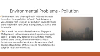 Environmental Problems - Pollution
Smoke from land clearing fires in Indonesia causes
hazardous haze pollution in South East Asia every
year. Record high levels of air pollution caused by haze
were reached in June 2013 in Singapore, Malaysia and
Indonesia.
For a week the most affected areas of Singapore,
Malaysia and Indonesia resembled a post-apocalyptic
scene – people only dared go out with face masks,
schools were closed, the economy took a hit as
businesses suspended work, events were cancelled,
tourists stayed clear of the area and hospitals faced a
surge of respiratory illnesses.
 