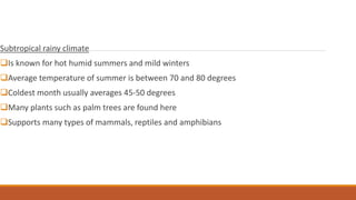 Subtropical rainy climate
Is known for hot humid summers and mild winters
Average temperature of summer is between 70 and 80 degrees
Coldest month usually averages 45-50 degrees
Many plants such as palm trees are found here
Supports many types of mammals, reptiles and amphibians
 