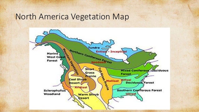 Vegetation Map Of North America - Chapter 5 Natural Environment 19 638