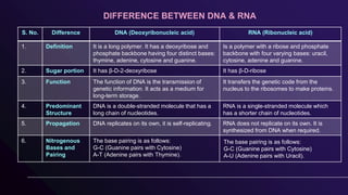 S. No. Difference DNA (Deoxyribonucleic acid) RNA (Ribonucleic acid)
1. Definition It is a long polymer. It has a deoxyribose and
phosphate backbone having four distinct bases:
thymine, adenine, cytosine and guanine.
Is a polymer with a ribose and phosphate
backbone with four varying bases: uracil,
cytosine, adenine and guanine.
2. Sugar portion It has β-D-2-deoxyribose It has β-D-ribose
3. Function The function of DNA is the transmission of
genetic information. It acts as a medium for
long-term storage.
It transfers the genetic code from the
nucleus to the ribosomes to make proteins.
4. Predominant
Structure
DNA is a double-stranded molecule that has a
long chain of nucleotides.
RNA is a single-stranded molecule which
has a shorter chain of nucleotides.
5. Propagation DNA replicates on its own, it is self-replicating. RNA does not replicate on its own. It is
synthesized from DNA when required.
6. Nitrogenous
Bases and
Pairing
The base pairing is as follows:
G-C (Guanine pairs with Cytosine)
A-T (Adenine pairs with Thymine).
The base pairing is as follows:
G-C (Guanine pairs with Cytosine)
A-U (Adenine pairs with Uracil).
DIFFERENCE BETWEEN DNA & RNA
 