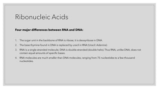 Ribonucleic Acids
Four major differences between RNA and DNA:
1. The sugar unit in the backbone of RNA is ribose; it is deoxyribose in DNA.
2. The base thymine found in DNA is replaced by uracil in RNA (Uracil: Adenine).
3. RNA is a single-stranded molecule; DNA is double-stranded (double helix). Thus RNA, unlike DNA, does not
contain equal amounts of specific bases.
4. RNA molecules are much smaller than DNA molecules, ranging from 75 nucleotides to a few thousand
nucleotides.
 