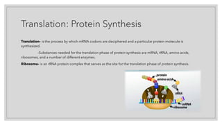 Translation: Protein Synthesis
Translation- is the process by which mRNA codons are deciphered and a particular protein molecule is
synthesized.
-Substances needed for the translation phase of protein synthesis are mRNA, tRNA, amino acids,
ribosomes, and a number of different enzymes.
Ribosome- is an rRNA protein complex that serves as the site for the translation phase of protein synthesis.
 