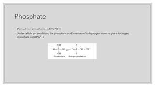 Phosphate
◦ Derived from phosphoric acid (H3PO4).
◦ Under cellular pH conditions, the phosphoric acid loses two of its hydrogen atoms to give a hydrogen
phosphate ion (𝐻𝐻𝐻𝐻𝑂𝑂4
2−
).
 