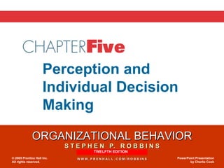 Chapter 5 Perception and  Individual Decision Making TWELFTH EDITION 