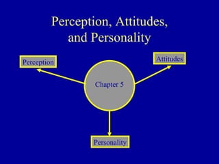 Perception, Attitudes, and Personality Perception Attitudes Personality Chapter 5 