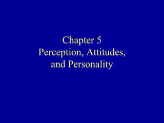 Chapter 5 Perception, Attitudes, and Personality 