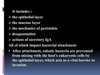 It includes :
 the epithelial layer
 the mucous layer
 the mechanics of peristalsis
 desquamation
 actions of secretory IgA
All of which impact bacterial attachment
 After attachment, colonic bacteria are prevented
from mixing with the host’s eukaryotic cells by
the epithelial layer, which acts as a vital barrier to
invasion.
 