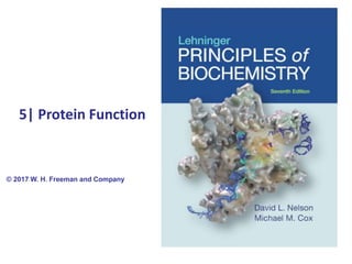 5| Protein Function
© 2017 W. H. Freeman and Company
 