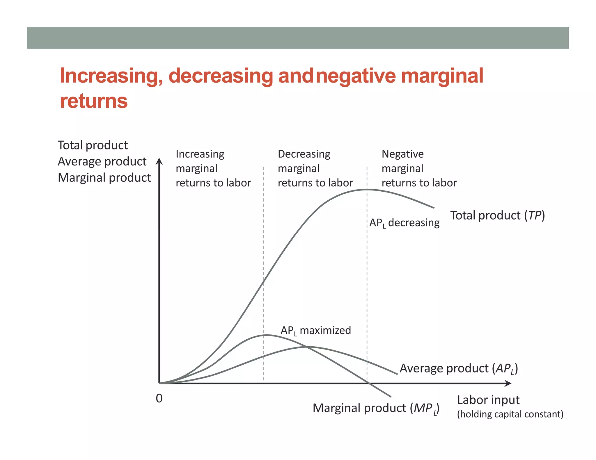 Chapter 5 the production process and costs | PPTX