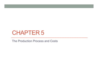CHAPTER 5
The Production Process and Costs
 