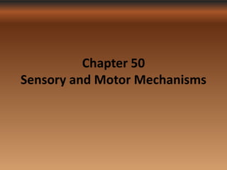 Chapter 50
Sensory and Motor Mechanisms
 