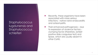 Comprehensive Overview of Staphylococcal Infections: Pathogenesis ...