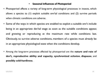 Photoperiod Insect Chapter 5 (1) (1).pdfhrjirhiehfur9hf8rutj8e | PDF