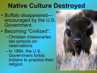 Native Culture Destroyed Buffalo disappeared—encouraged by the U.S. Government. Becoming “Civilized”: Christian missionaries ran schools on reservations In 1884, the U.S. Government forbid Indians to practice their religion 