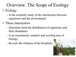 Chapter 52 ecology overview class | PDF