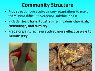 Prey species have evolved many adaptations to make them more difficult to capture, subdue, or eat. Includes  toxic hairs, tough spines, noxious chemicals, camouflage, and mimicry . Predators, in turn, have evolved more effective ways to capture prey. Community Structure 