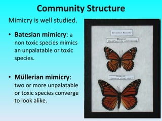 Mimicry is well studied. Batesian mimicry :  a non toxic species mimics an unpalatable or toxic species. M üllerian mimicry :  two or more unpalatable or toxic species converge to look alike. Community Structure 